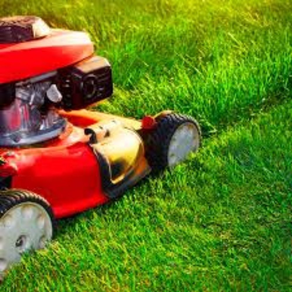 i mow lawns for $25-$40